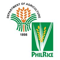 philrice logo|Philippine Rice Research Institute.